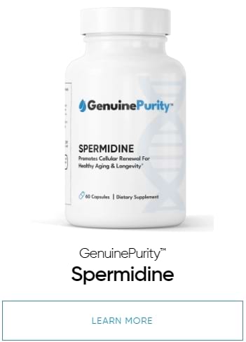 spermidine